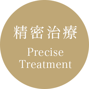 精密治療 Precise Treatment